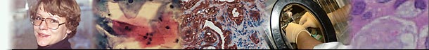 Moers, Pathologie - Bildleiste